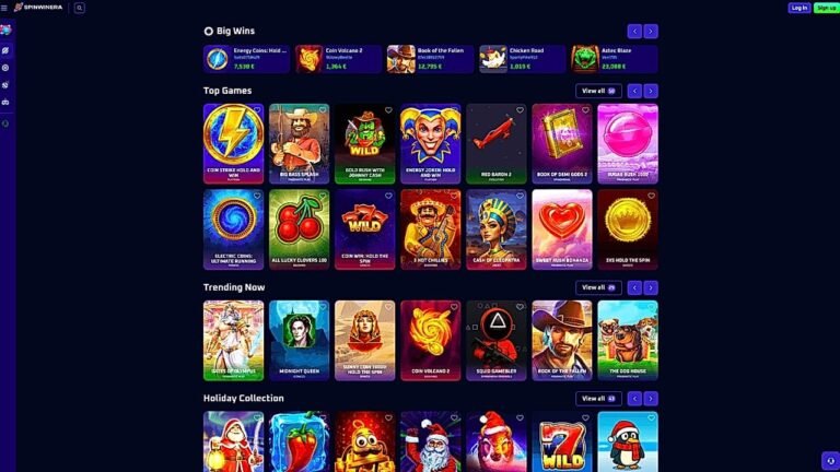 Spinwinera opiniones