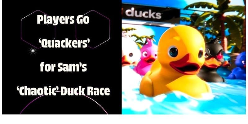 CCTV Duck River errores a evitar – Error 4: intentar leer patrones en el stream de Duck River