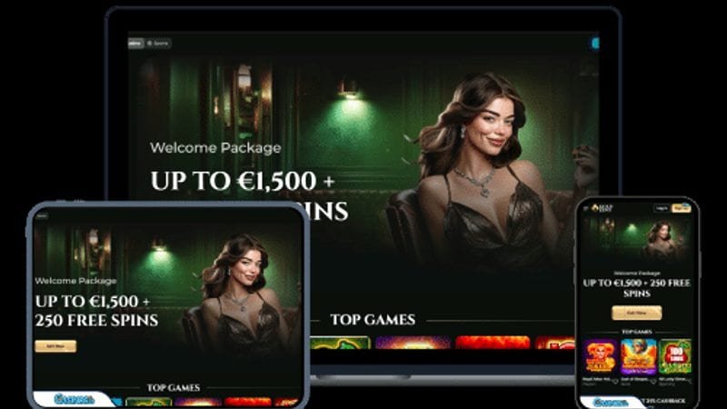 Cifrado SSL y protección de datos en Goldzino